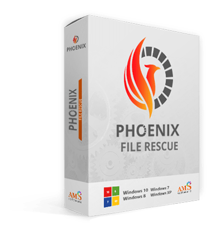 PHOENIX FILE RESCUE